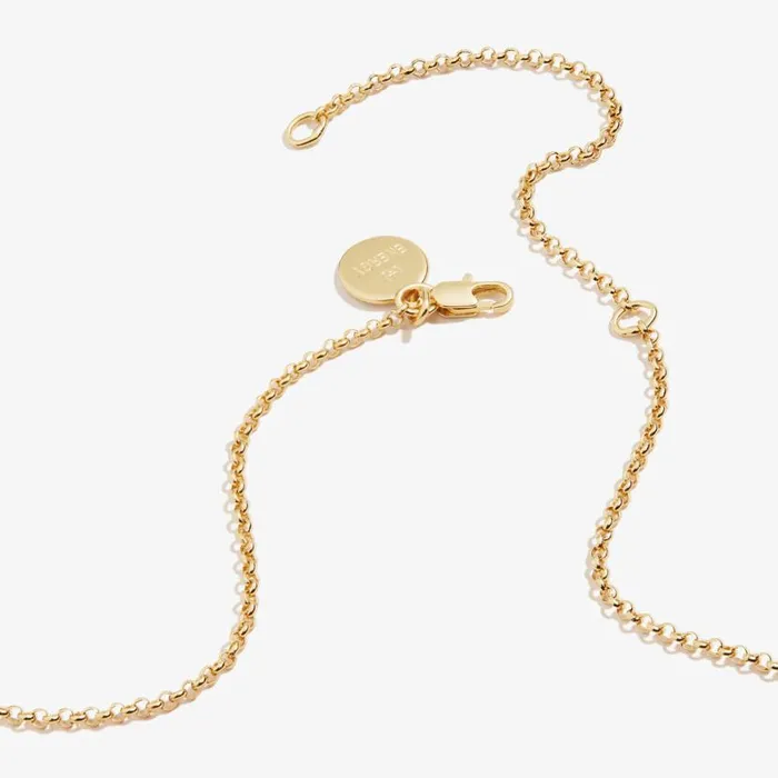 Paw Print Charm Necklace 21039039 Silver Women Alex And Ani Pets We Love Paw Print Charm Necklace 21039039 Silver Women Alex And Ani Pets We Love