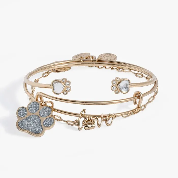Paws Of Love Bracelet Set Of 3 Gold Women Alex And Ani Iconic Alex And Ani