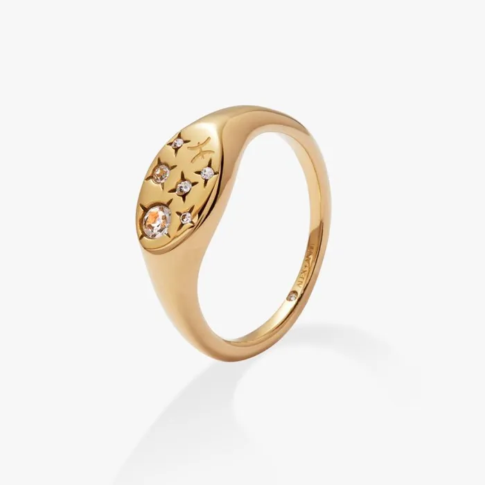 Pisces Zodiac Ring Stainless Steel Gold Women Alex And Ani Rings Pisces Zodiac Ring Stainless Steel Gold Women Alex And Ani Rings