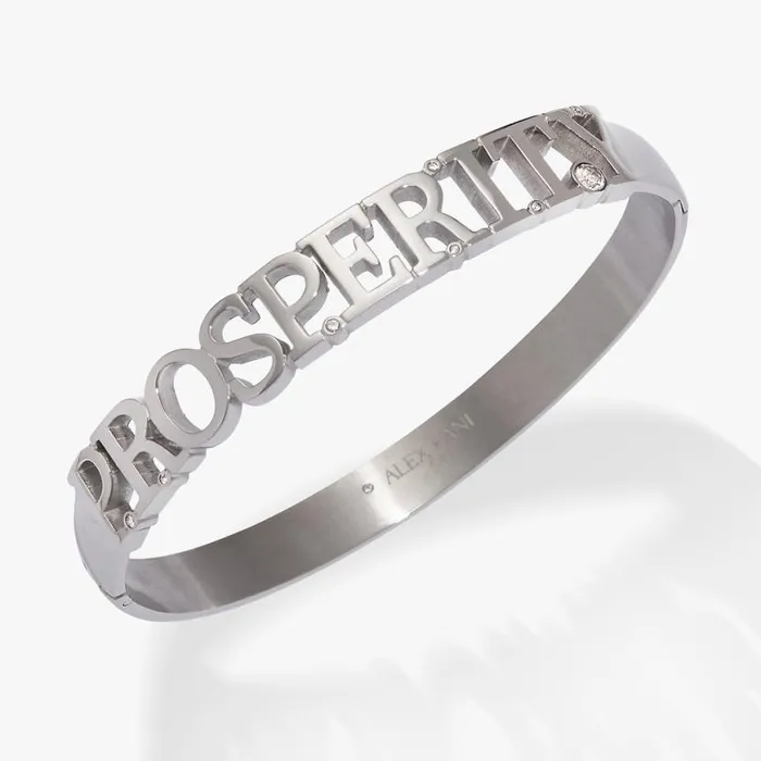 Prosperity Hinge Bracelet Stainless Steel Silver Women Alex And Ani Graduation