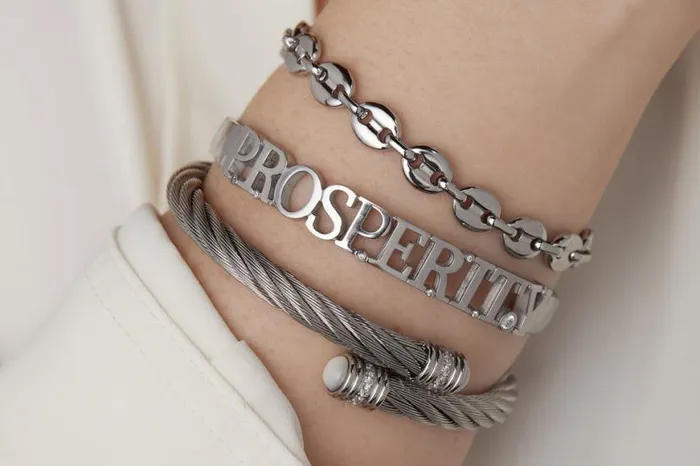 Prosperity Hinge Bracelet Stainless Steel Silver Women Alex And Ani Graduation