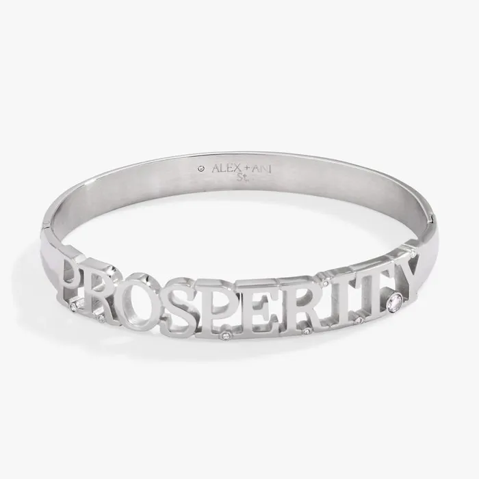 Prosperity Hinge Bracelet Stainless Steel Silver Women Alex And Ani Graduation