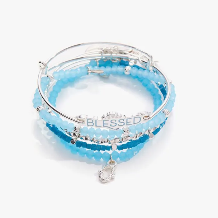 Protected And Blessed Charm Bangles Set Of 5 Shiny Silver Women Alex And Ani Jewelry Sets Protected And Blessed Charm Bangles Set Of 5 Shiny Silver Women Alex And Ani Jewelry Sets