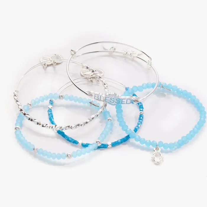 Protected And Blessed Charm Bangles Set Of 5 Shiny Silver Women Alex And Ani Jewelry Sets Protected And Blessed Charm Bangles Set Of 5 Shiny Silver Women Alex And Ani Jewelry Sets