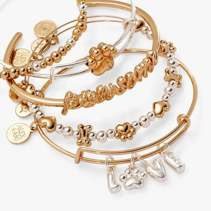 Puppy Love Bangles Set Of 5 Two Tone Women Alex And Ani Jewelry Sets Puppy Love Bangles Set Of 5 Two Tone Women Alex And Ani Jewelry Sets