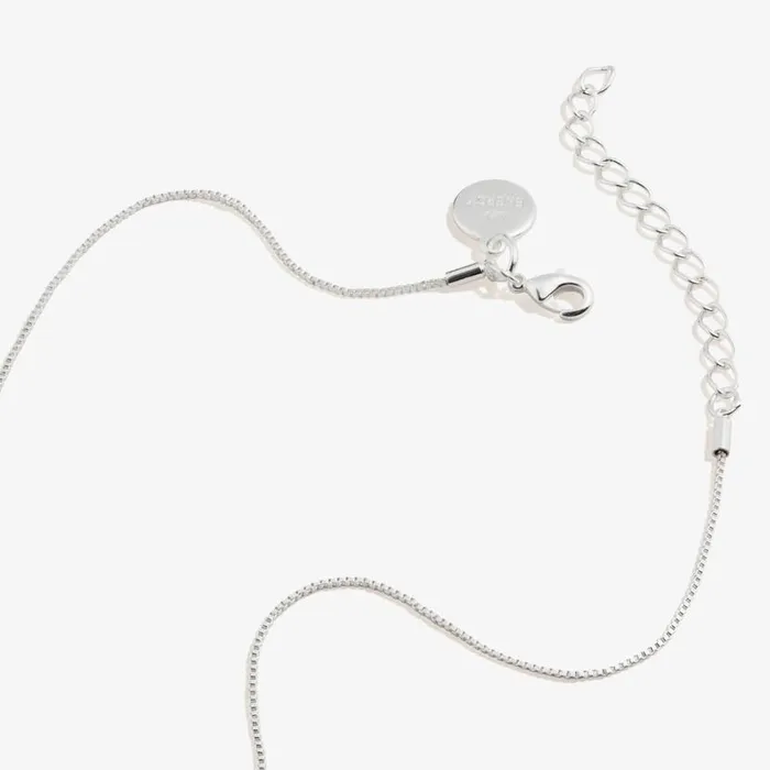 Scarlet Heart Necklace January Birthstone Silver Women Alex And Ani Heart Scarlet Heart Necklace January Birthstone Silver Women Alex And Ani Heart