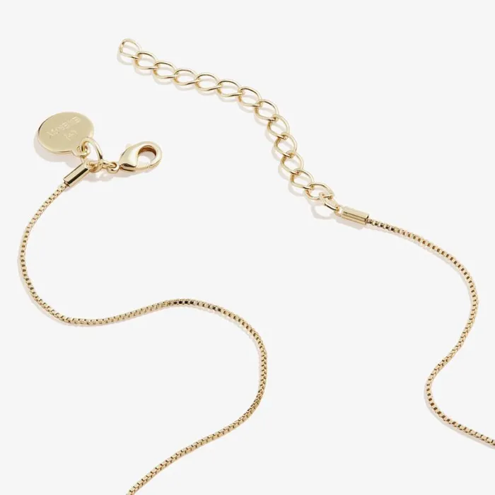 Scarlet Heart Necklace January Birthstone Silver Women Alex And Ani Heart Scarlet Heart Necklace January Birthstone Silver Women Alex And Ani Heart