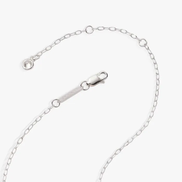 Scorpio Zodiac Precious Necklace Sterling Silver Women Alex And Ani Birthday Scorpio Zodiac Precious Necklace Sterling Silver Women Alex And Ani Birthday