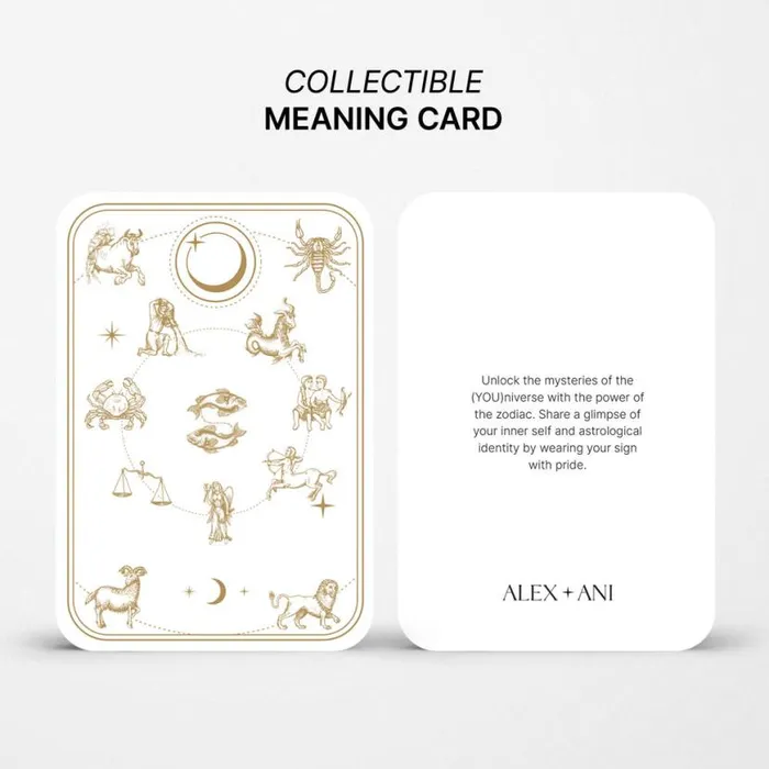 Scorpio Zodiac Precious Necklace Sterling Silver Women Alex And Ani Birthday Scorpio Zodiac Precious Necklace Sterling Silver Women Alex And Ani Birthday