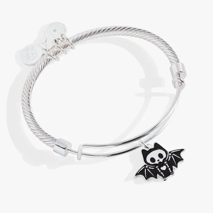 Skull Bangle Bracelet Silver Women Alex And Ani Iconic Alex And Ani
