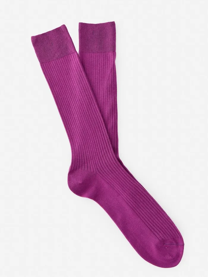 Socks Men JMcLaughlin Ribbed Socks Ultra Violet