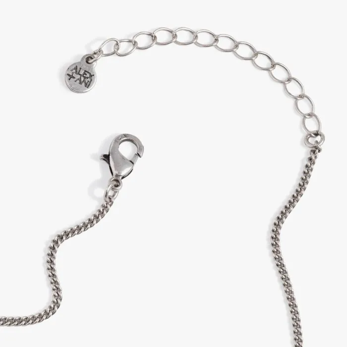 Sodalite Multicharm Necklace Antique Silver Women Alex And Ani Necklaces Sodalite Multicharm Necklace Antique Silver Women Alex And Ani Necklaces