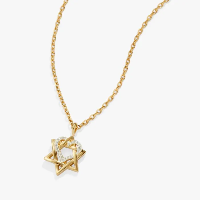 Star Of David Heart Necklace 14kt Gold Plated Two Tone Precious Women Alex And Ani Graduation Star Of David Heart Necklace 14kt Gold Plated Two Tone Precious Women Alex And Ani Graduation