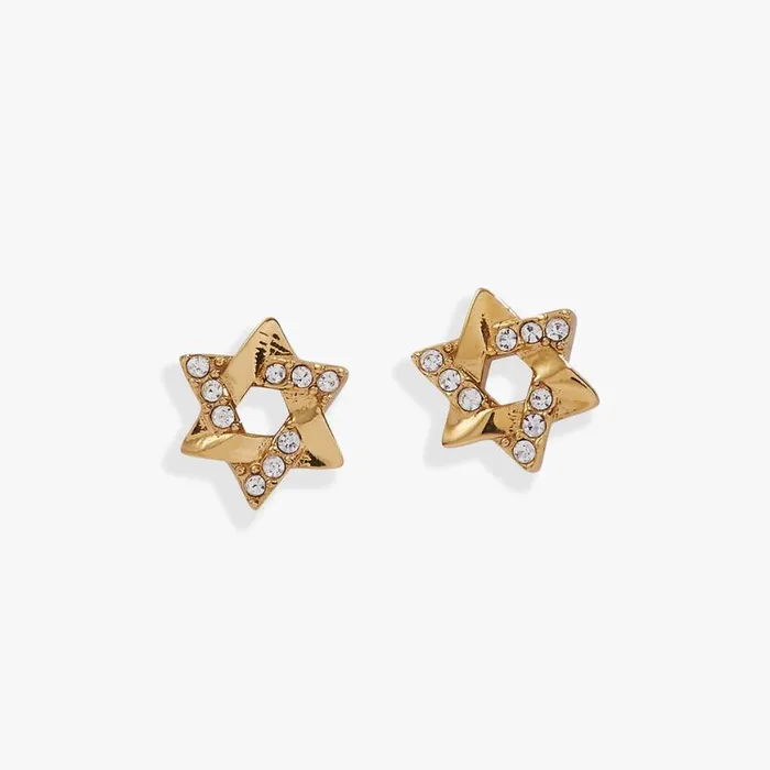Star Of David Mini Stud Earrings Stainless Steel Gold Women Alex And Ani Earrings Star Of David Mini Stud Earrings Stainless Steel Gold Women Alex And Ani Earrings