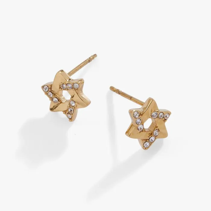 Star Of David Mini Stud Earrings Stainless Steel Gold Women Alex And Ani Earrings Star Of David Mini Stud Earrings Stainless Steel Gold Women Alex And Ani Earrings