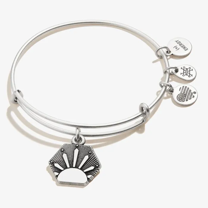 Sun Charm Bangle Bracelet Rafaelian Silver Women Alex And Ani Growth New Beginnings Sun Charm Bangle Bracelet Rafaelian Silver Women Alex And Ani Growth New Beginnings