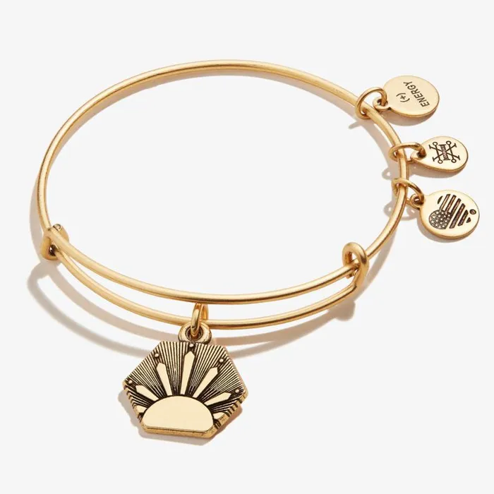 Sun Charm Bangle Bracelet Rafaelian Silver Women Alex And Ani Growth New Beginnings Sun Charm Bangle Bracelet Rafaelian Silver Women Alex And Ani Growth New Beginnings