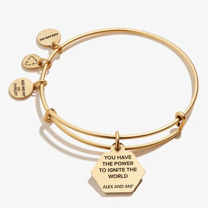 Sun Charm Bangle Bracelet Rafaelian Silver Women Alex And Ani Growth New Beginnings Sun Charm Bangle Bracelet Rafaelian Silver Women Alex And Ani Growth New Beginnings