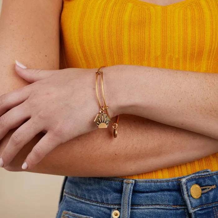 Sun Charm Bangle Bracelet Rafaelian Silver Women Alex And Ani Growth New Beginnings Sun Charm Bangle Bracelet Rafaelian Silver Women Alex And Ani Growth New Beginnings