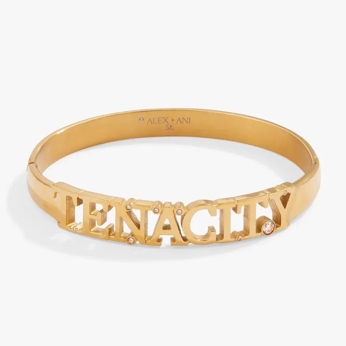 Tenacity Hinge Bracelet Stainless Steel Gold Women Alex And Ani Fine Jewelry Tenacity Hinge Bracelet Stainless Steel Gold Women Alex And Ani Fine Jewelry