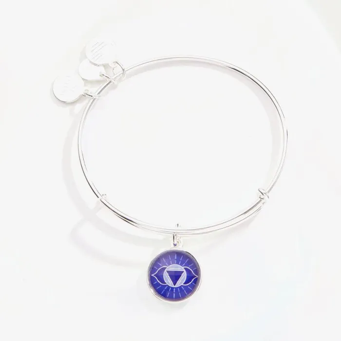 Third Eye Chakra Charm Bangle Bracelet Shiny Silver Women Alex And Ani Iconic Alex And Ani Third Eye Chakra Charm Bangle Bracelet Shiny Silver Women Alex And Ani Iconic Alex And Ani