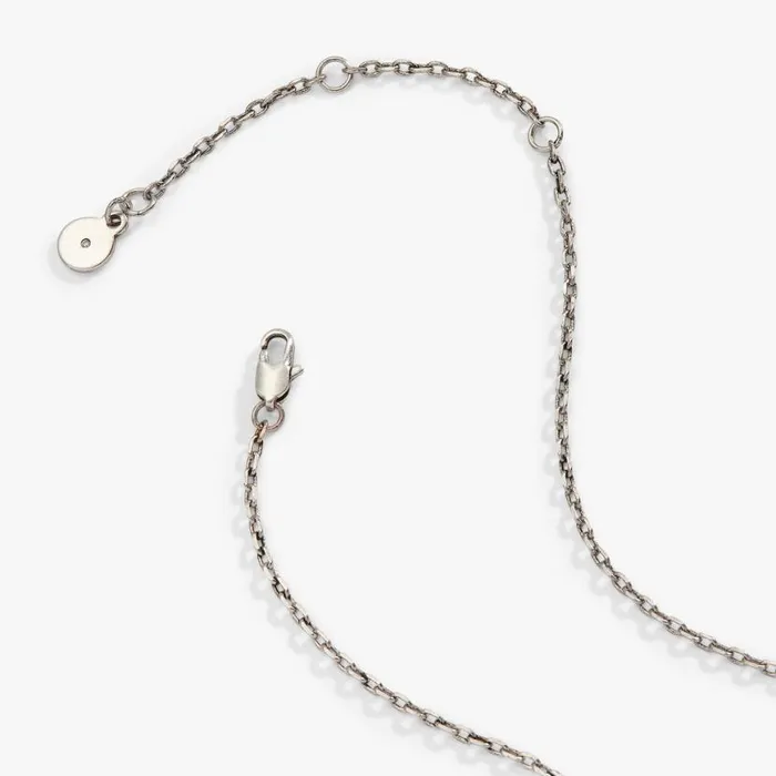 Turquoise Lariat Necklace Silver Women Alex And Ani Balance Harmony