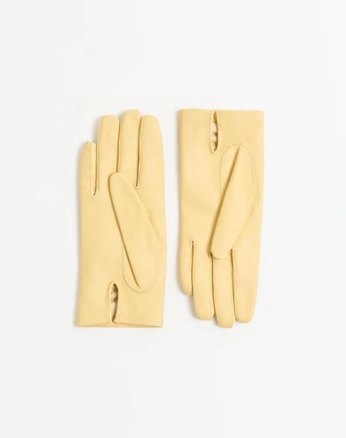 Valentino Hats And Gloves Woman Vlogo Signature Nappa Gloves For Woman In Multicolor Multicolor