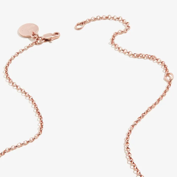 Watermelon Charm Necklace Shiny Rose Gold Women Alex And Ani Necklaces Watermelon Charm Necklace Shiny Rose Gold Women Alex And Ani Necklaces