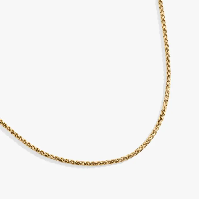 Wheat Chain Charm and Layering Necklace Stainless Steel Gold Women Alex And Ani Chain Or Bracelet Charm Bases Wheat Chain Charm and Layering Necklace Stainless Steel Gold Women Alex And Ani Chain Or Bracelet Charm Bases