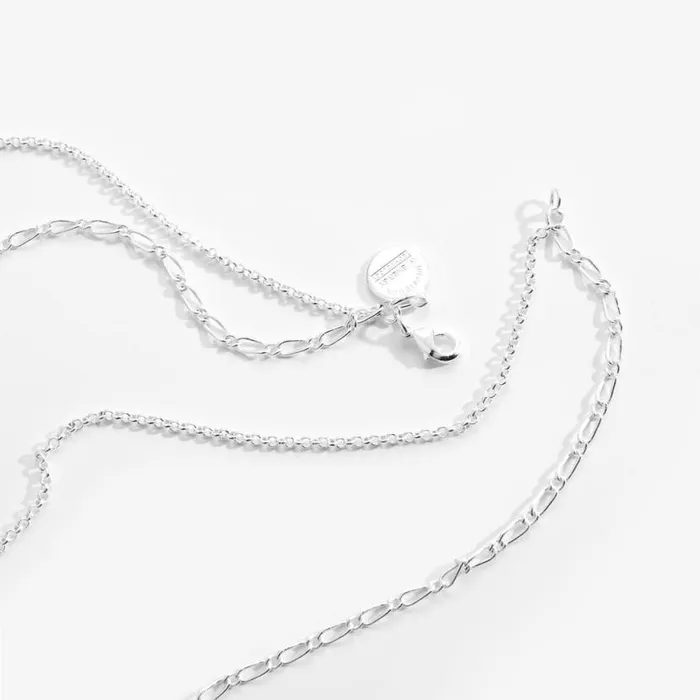 Wisdom Potential MultiCharm Layered Necklace Shiny Silver Women Alex And Ani Necklaces Wisdom Potential MultiCharm Layered Necklace Shiny Silver Women Alex And Ani Necklaces