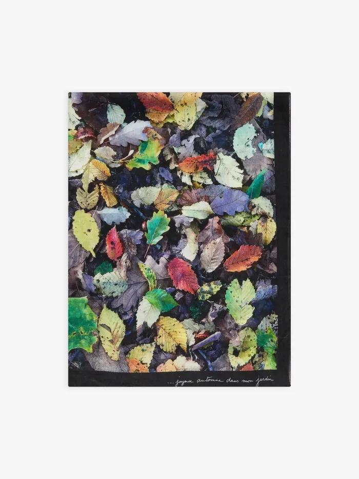 Women Agns B Scarves Feuilles Woollen Scarf With Leaf Print