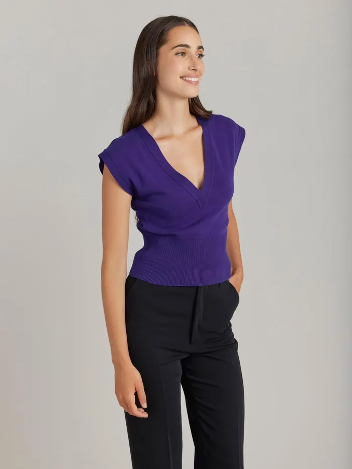Women Agns B Tshirts and Tank Tops Purple Cotton Jersey Osta Tshirt