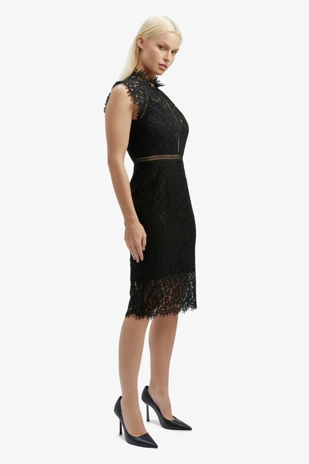 Women Bardot Occasion Dresses Lace Panel Dress In Black Black Women Bardot Occasion Dresses Lace Panel Dress In Black Black