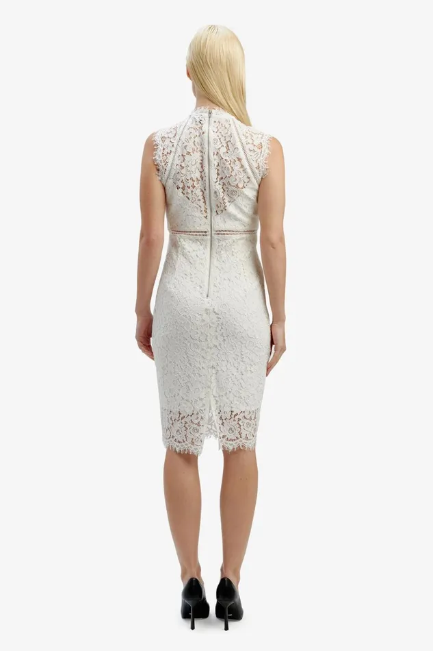 Women Bardot Occasion Dresses Lace Panel Dress In Orchid White Orchid White Women Bardot Occasion Dresses Lace Panel Dress In Orchid White Orchid White