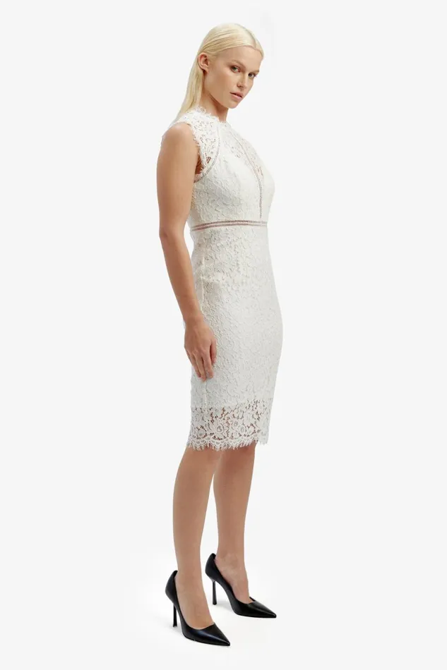 Women Bardot Occasion Dresses Lace Panel Dress In Orchid White Orchid White Women Bardot Occasion Dresses Lace Panel Dress In Orchid White Orchid White