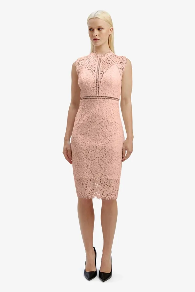 Women Bardot Occasion Dresses Lace Panel Dress In Pale Blush Pale Blush