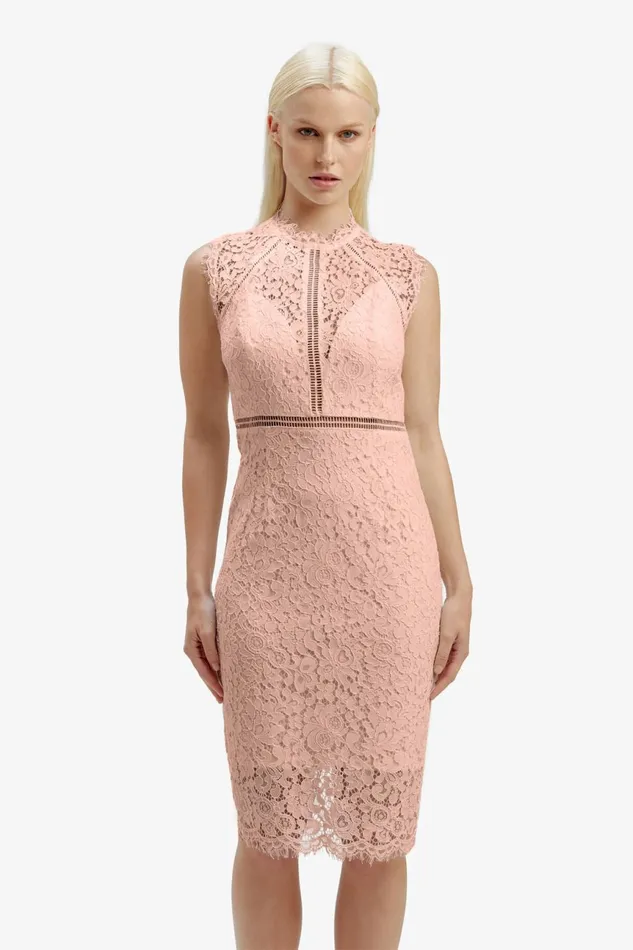 Women Bardot Occasion Dresses Lace Panel Dress In Pale Blush Pale Blush Women Bardot Occasion Dresses Lace Panel Dress In Pale Blush Pale Blush