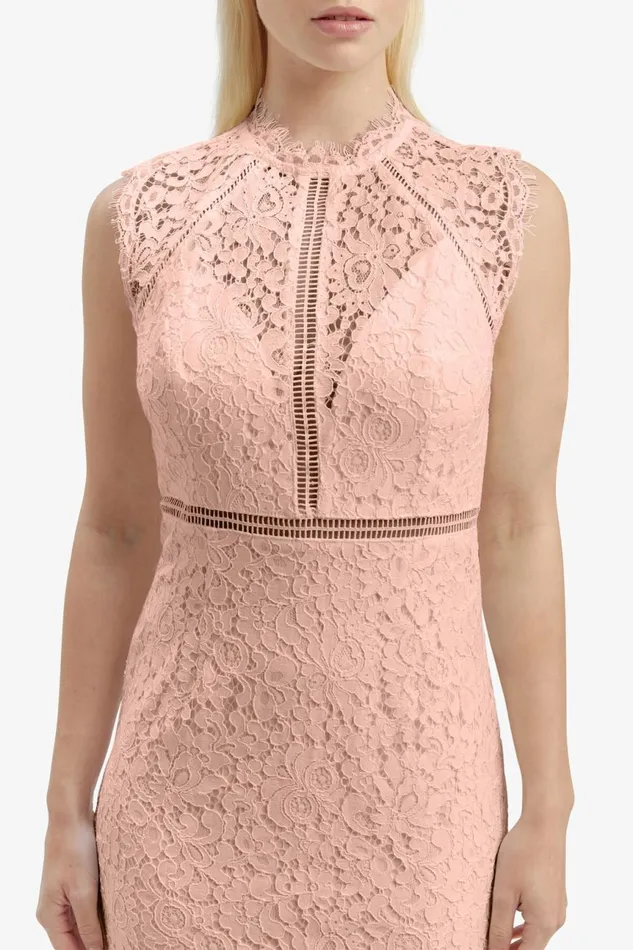 Women Bardot Occasion Dresses Lace Panel Dress In Pale Blush Pale Blush Women Bardot Occasion Dresses Lace Panel Dress In Pale Blush Pale Blush