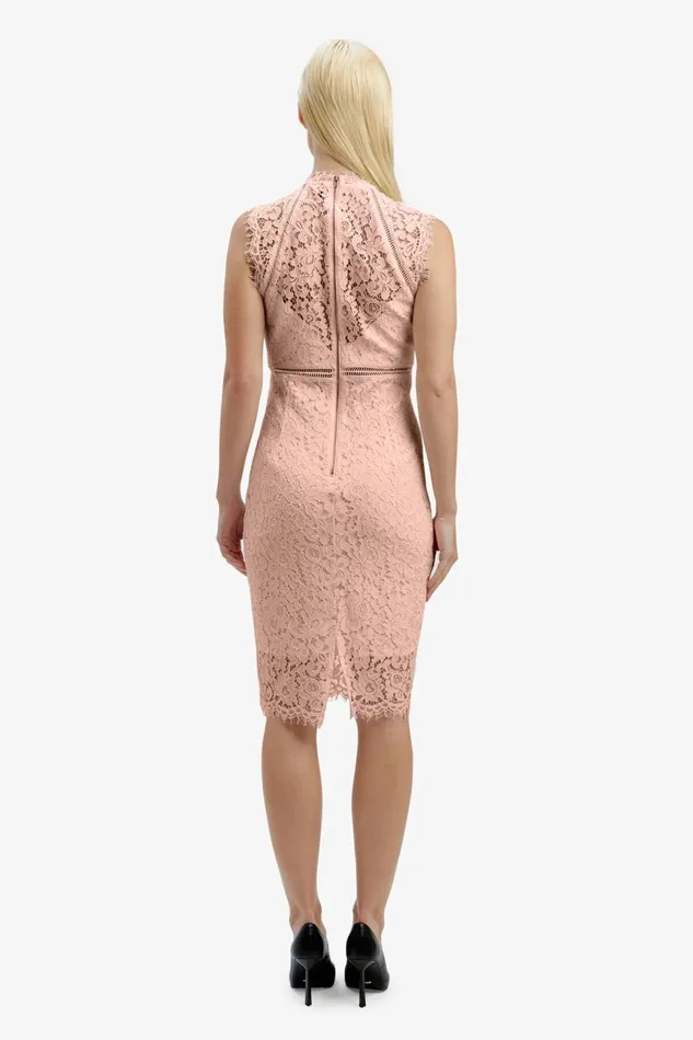 Women Bardot Occasion Dresses Lace Panel Dress In Pale Blush Pale Blush Women Bardot Occasion Dresses Lace Panel Dress In Pale Blush Pale Blush