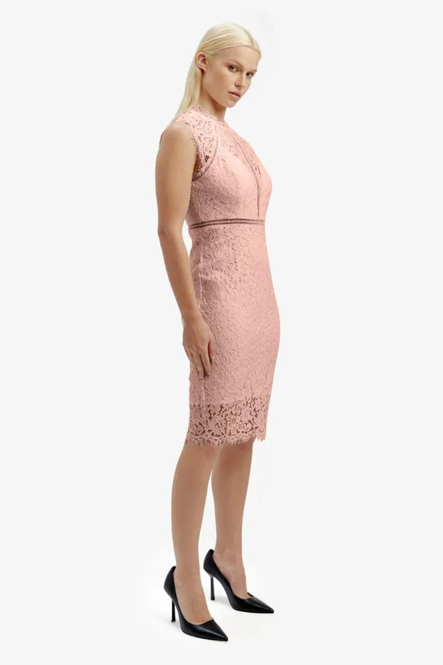 Women Bardot Occasion Dresses Lace Panel Dress In Pale Blush Pale Blush Women Bardot Occasion Dresses Lace Panel Dress In Pale Blush Pale Blush