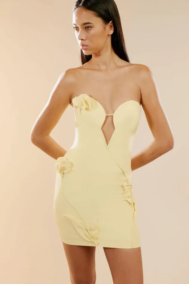 Women Bardot Party Dresses Eleni Flower Detail Mini Dress In Canary Yellow Canary Yellow Women Bardot Party Dresses Eleni Flower Detail Mini Dress In Canary Yellow Canary Yellow