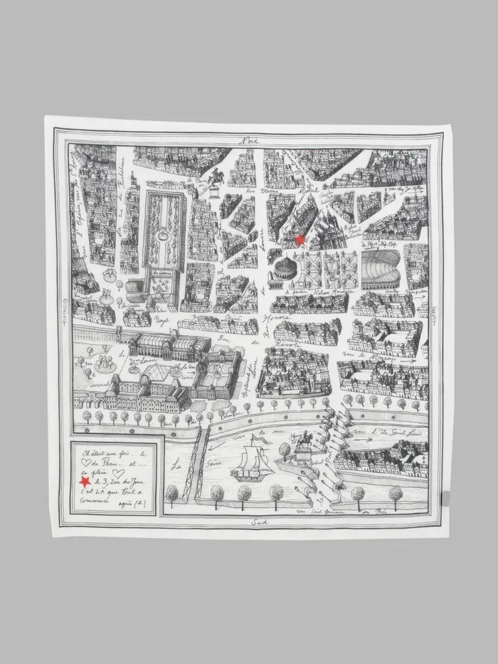 WomenMen Agns B Scarves Rue Du Jour Cotton Square Scarf