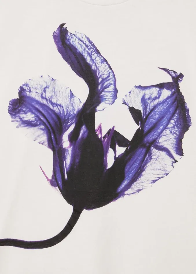 Womens Paul Smith TShirts White 039Solar Gram039 Flower Stem TShirt Womens Paul Smith TShirts White 039Solar Gram039 Flower Stem TShirt
